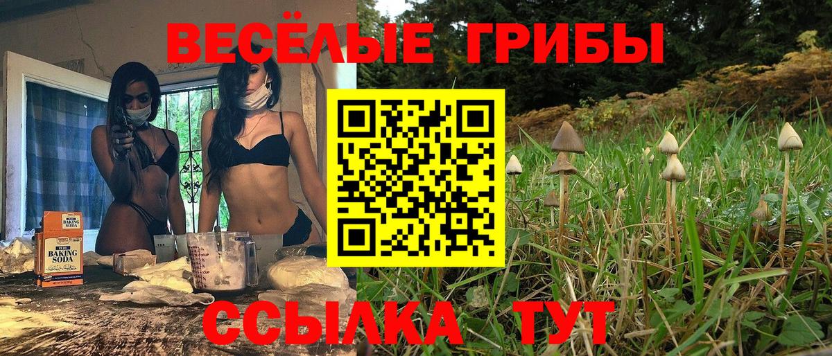 Галлюциногенные грибы GOLDEN TEACHER Лысьва