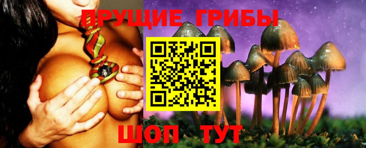 Галлюциногенные грибы MAGIC MUSHROOMS  Вход с VPN  Лысьва 
